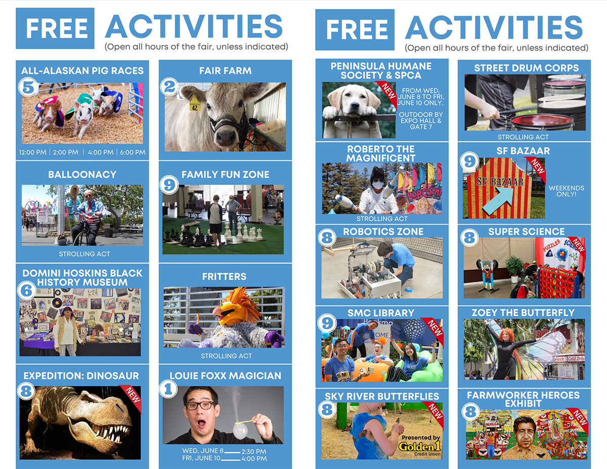Free Activities