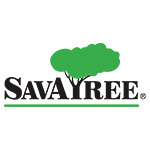 Savatree